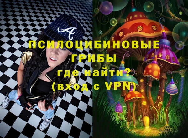 прущий лед Алексин