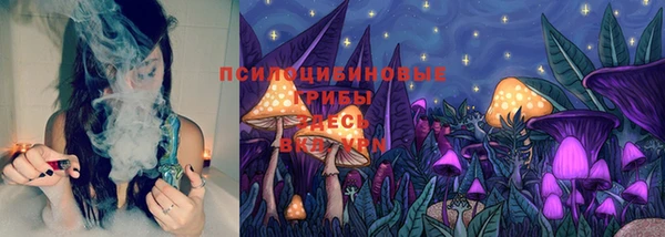 прущий лед Надым