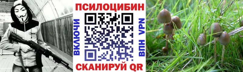Галлюциногенные грибы мицелий  Асино 
