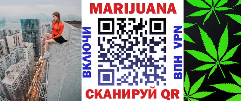 Конопля семена  гидра зеркало  Асино  цены  